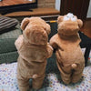 Teddy Bear Onesie – OnesieMania